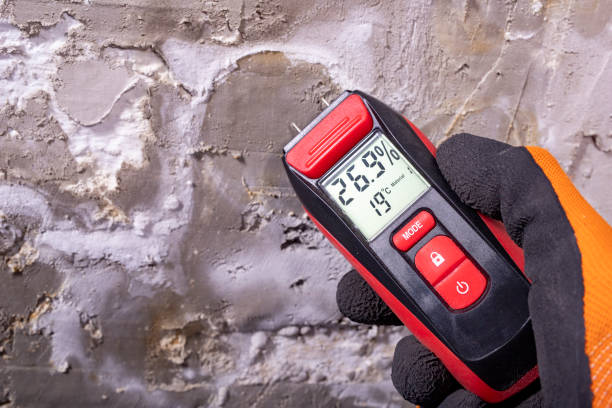 Best Emergency Mold Removal  in Moodys, OK