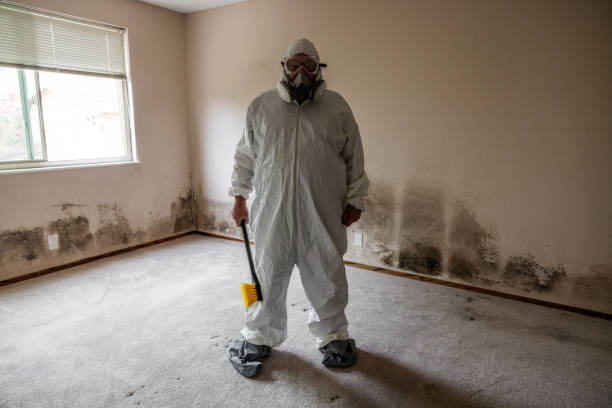 Best Home Mold Removal  in Moodys, OK