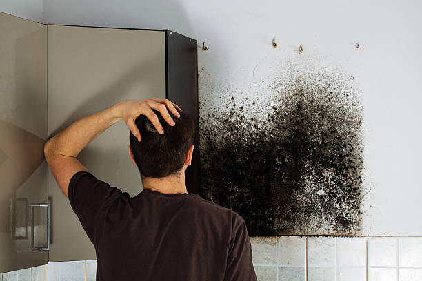 Best Residential Mold Removal  in Moodys, OK