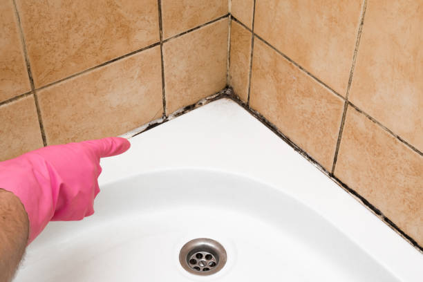 Trusted Moodys, OK Mold Removal Experts